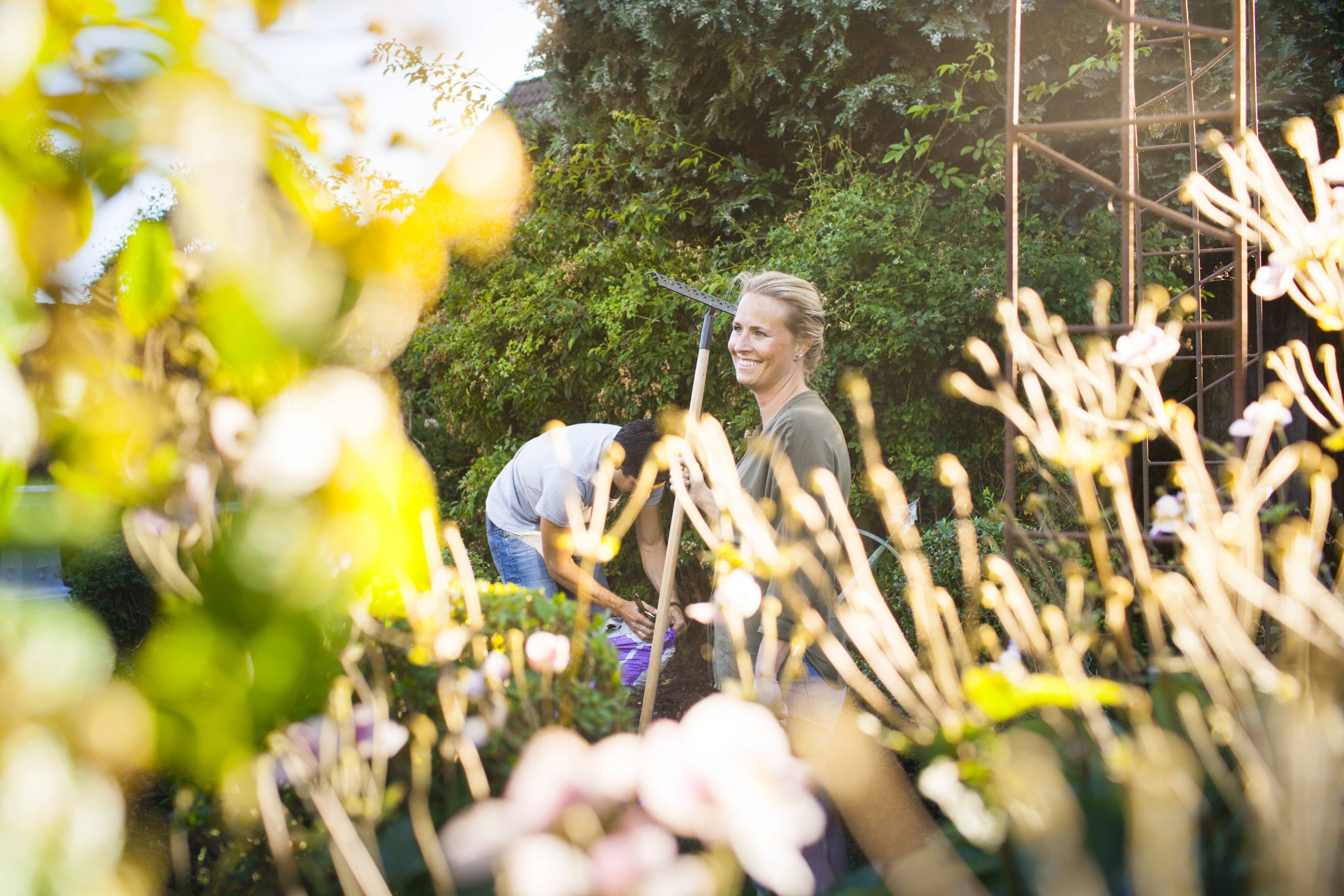 Beginner-friendly Fruit Trees Suitable for Small Spaces