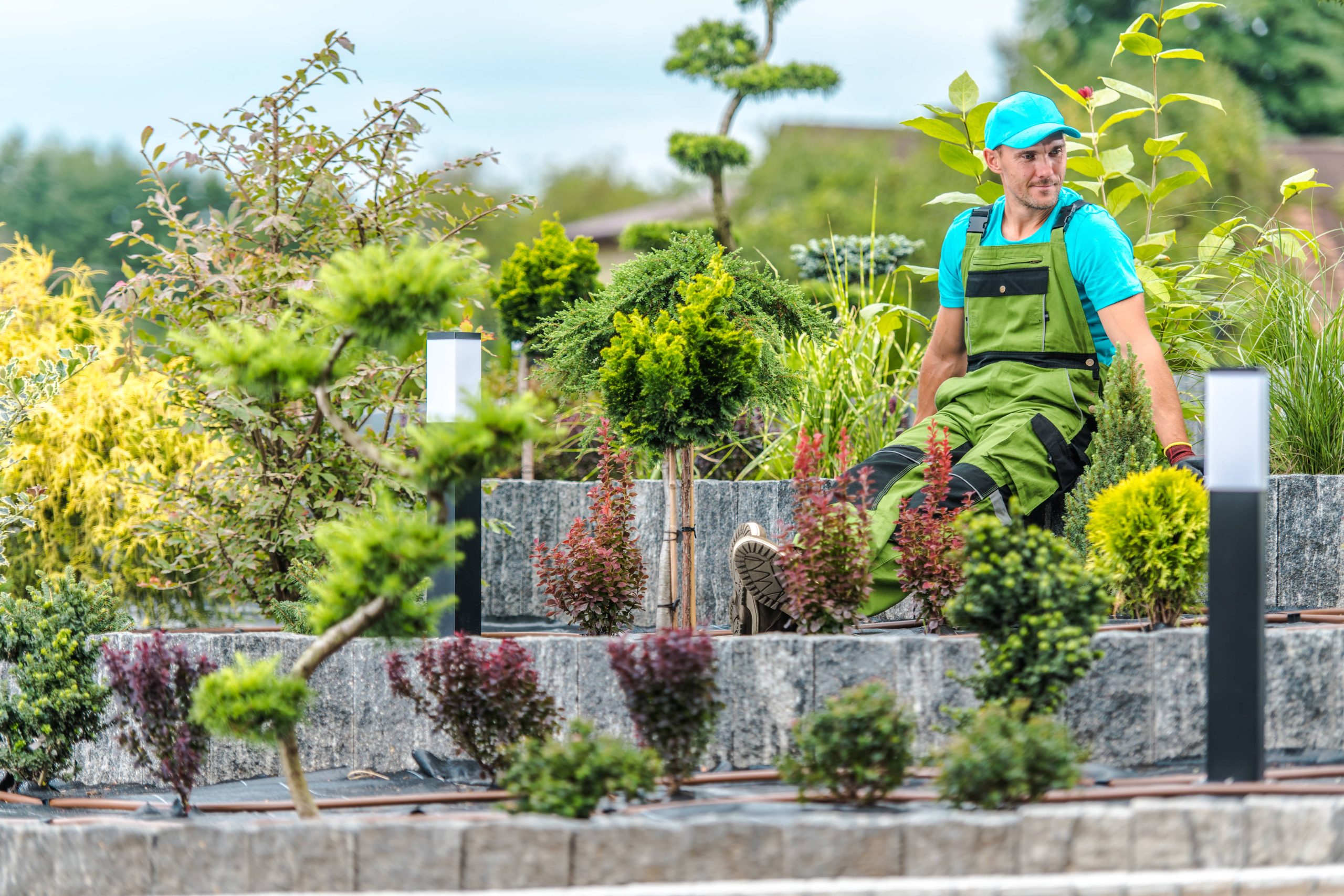 Beginner's Guide to Raised Bed Gardening