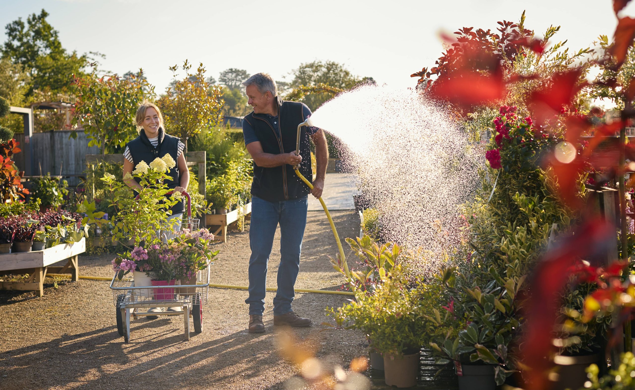 Choosing Perennials That Come Back Annually