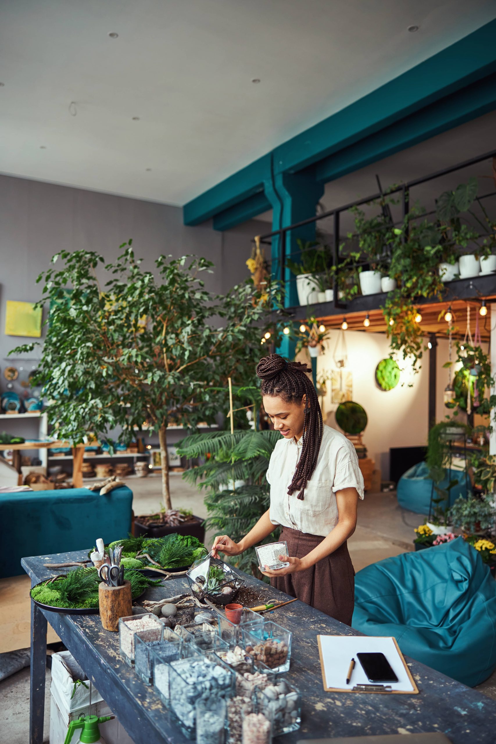 Choosing the Best Humidifier for Tropical Houseplants