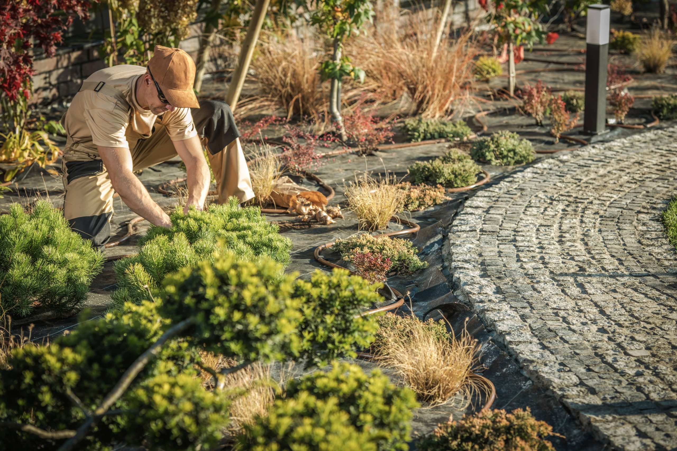 Conserving Water Through Intelligent Garden Design