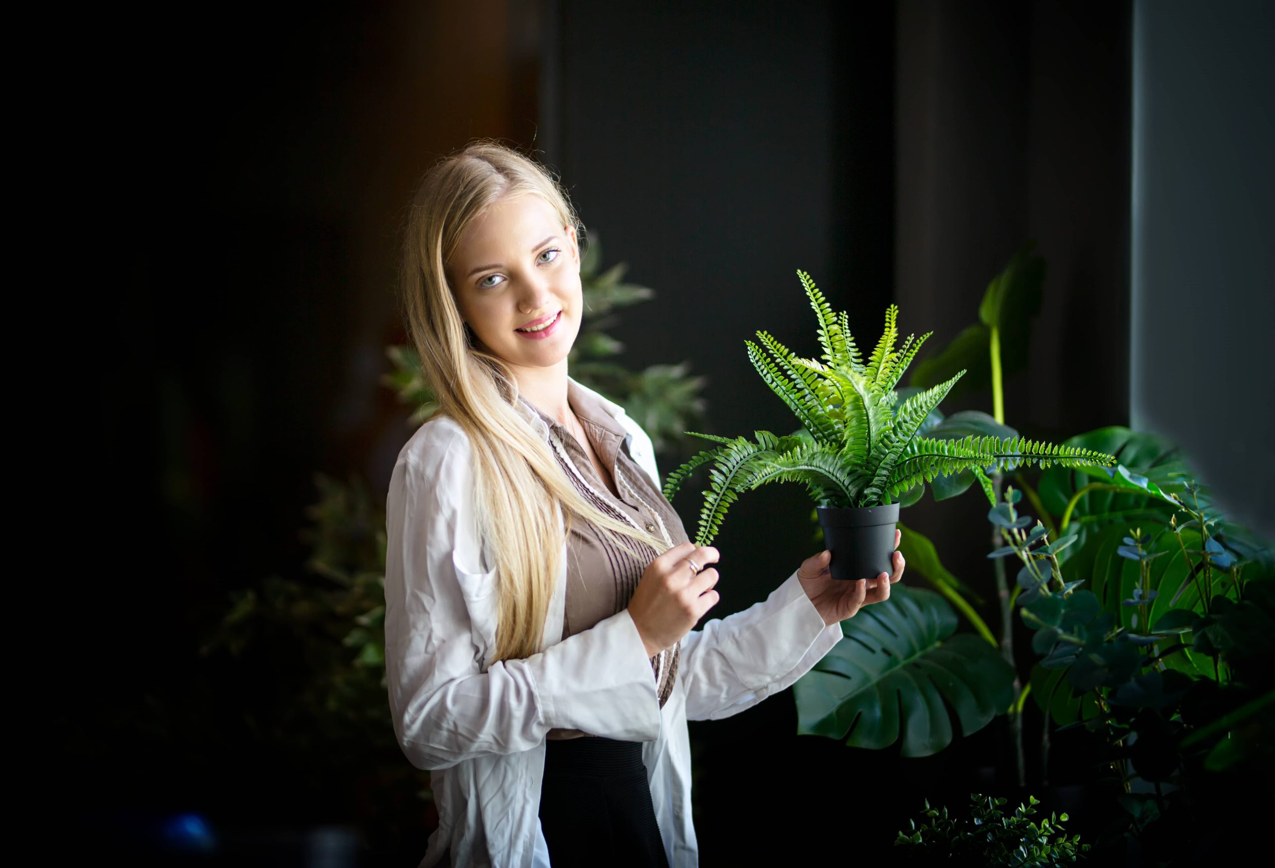 Crafting a Focal Point Using Large Leaf Houseplants