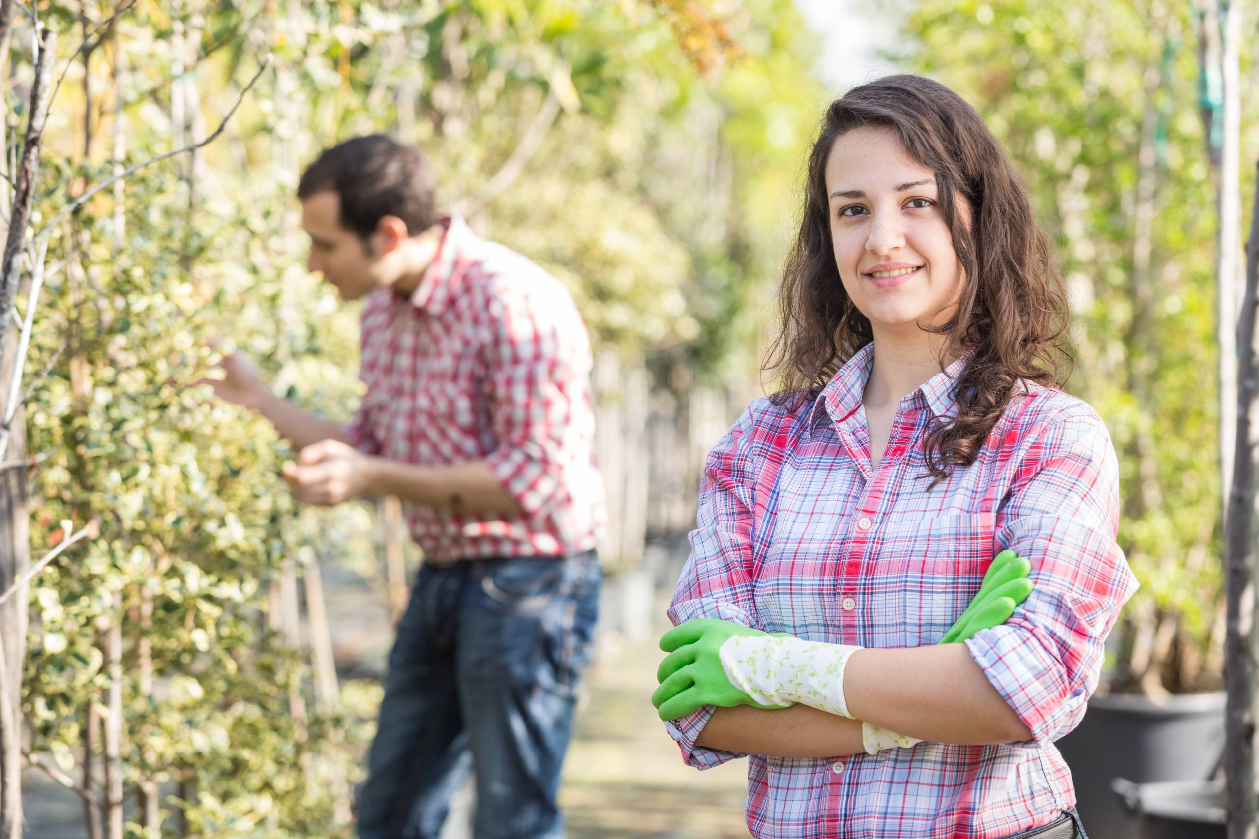 Creating Your Own Drip Irrigation System Conserves Both Time and Water