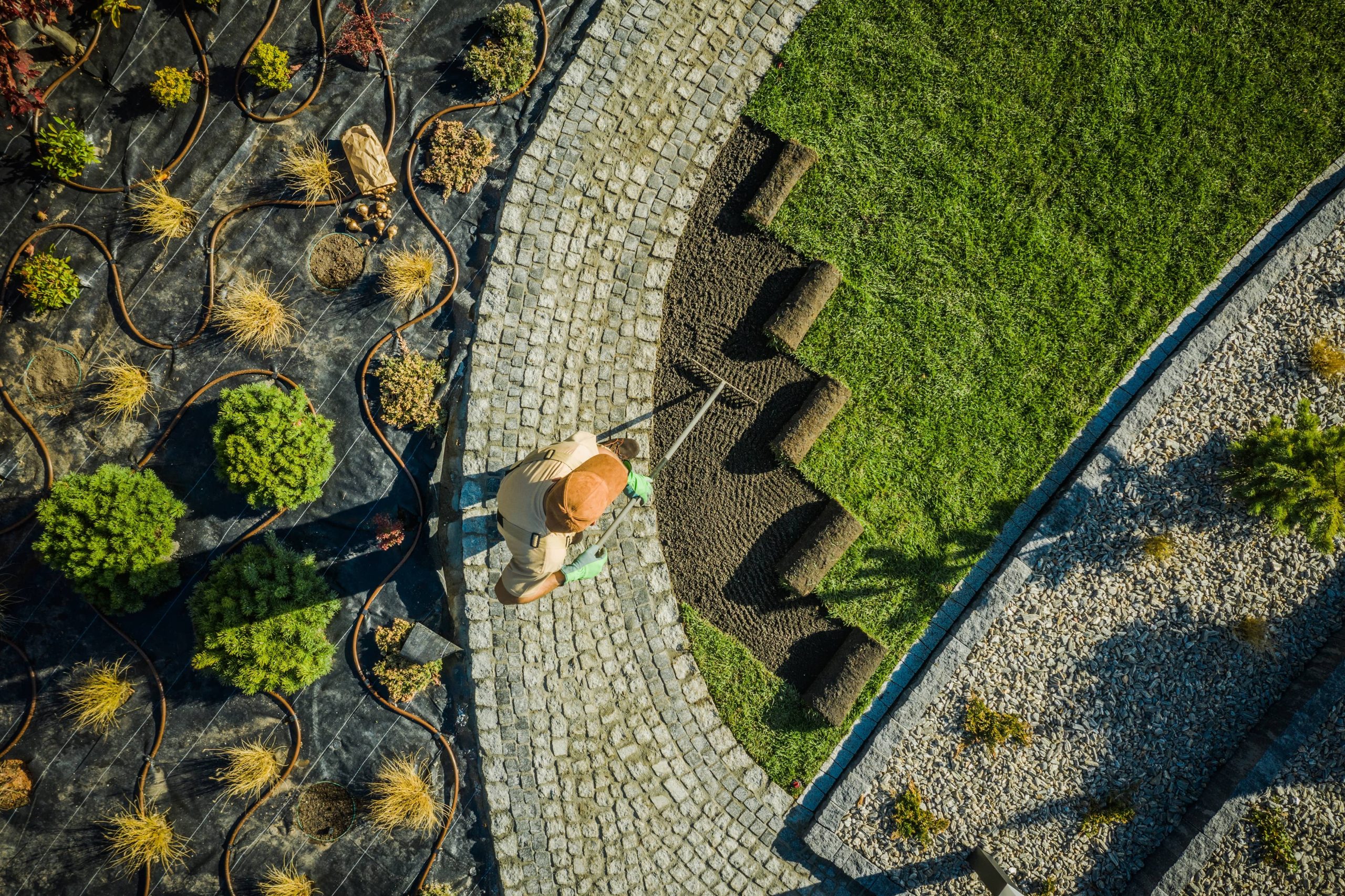 Creating a Zen-Inspired Rock Garden