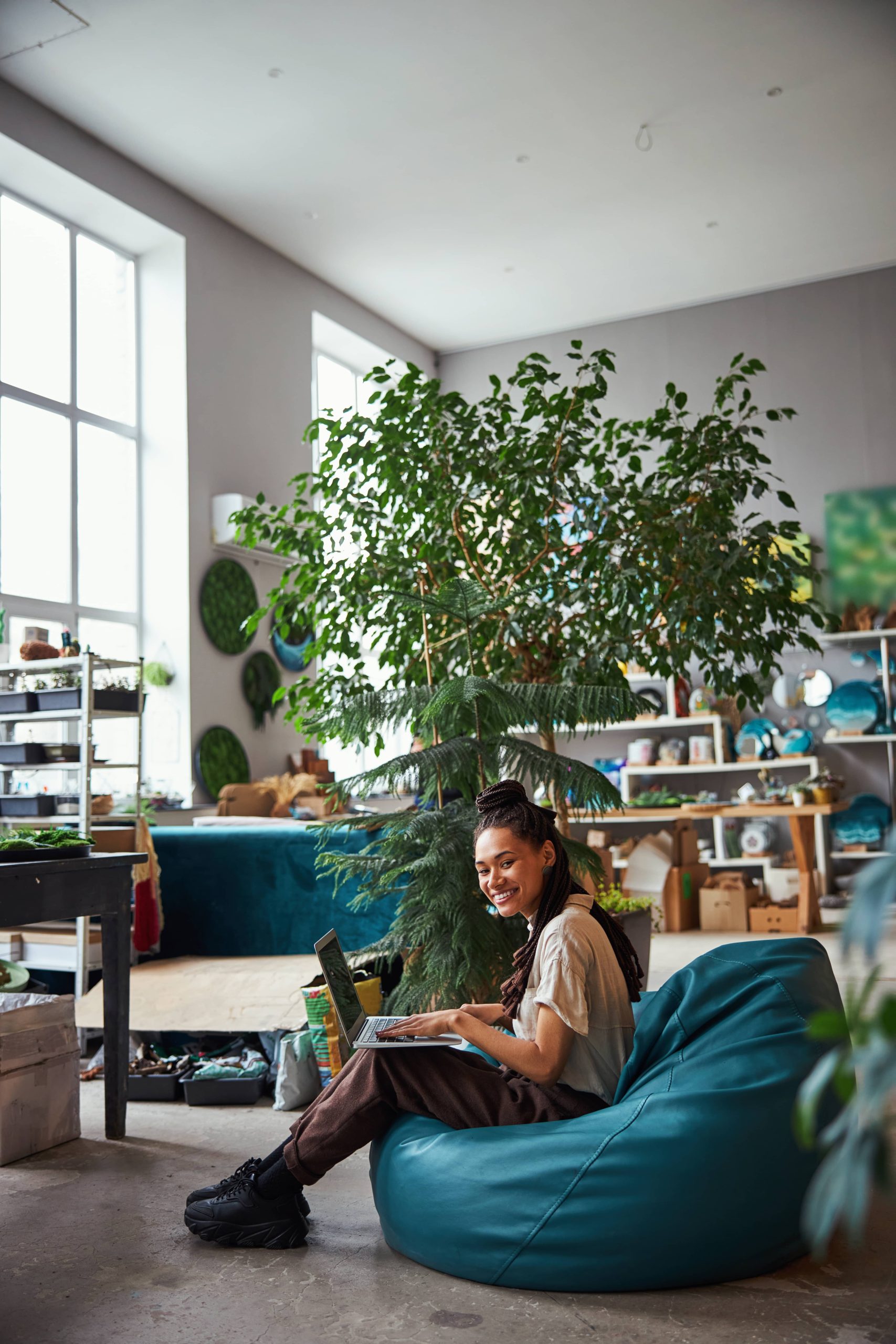 Debunking Ten Myths About Indoor Plant Care