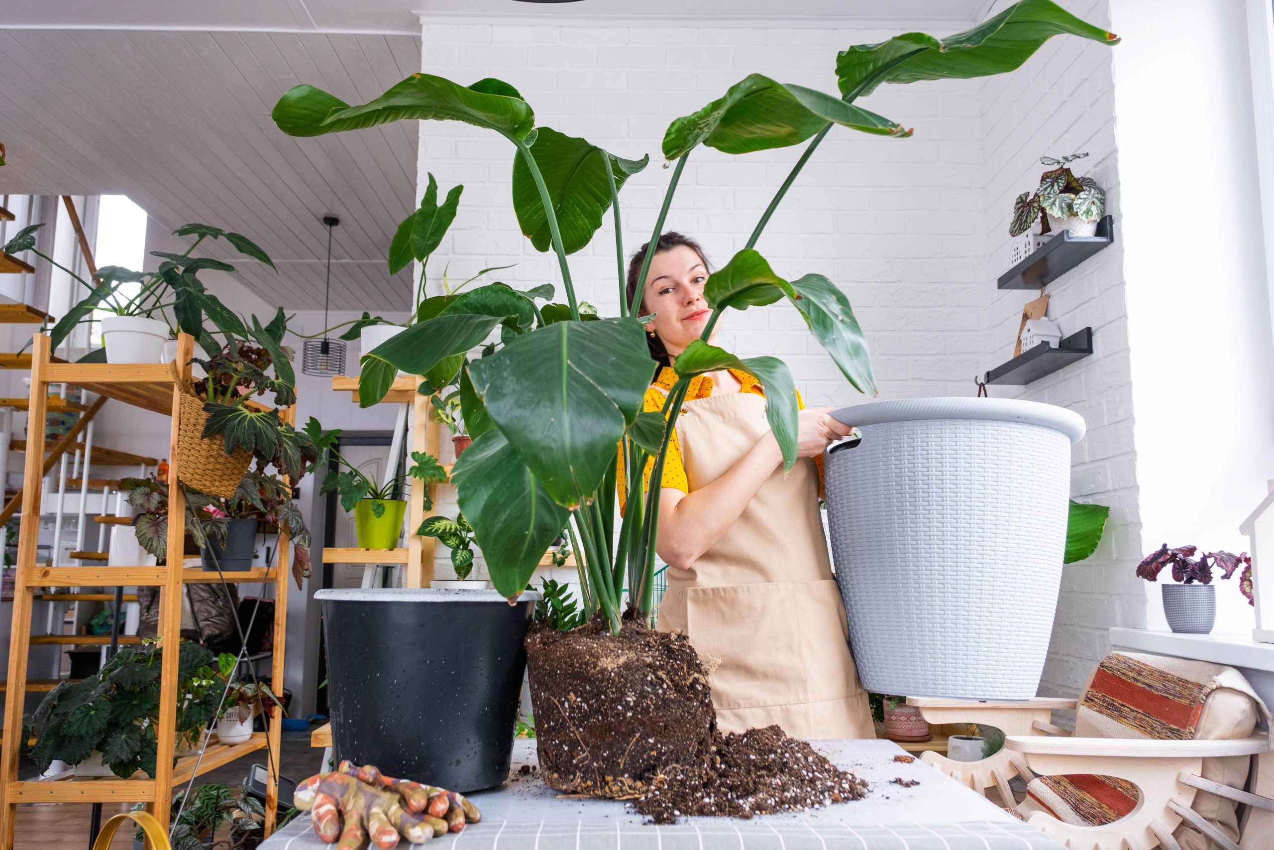 Decorating with Suspended Planters and Macrame Hangers