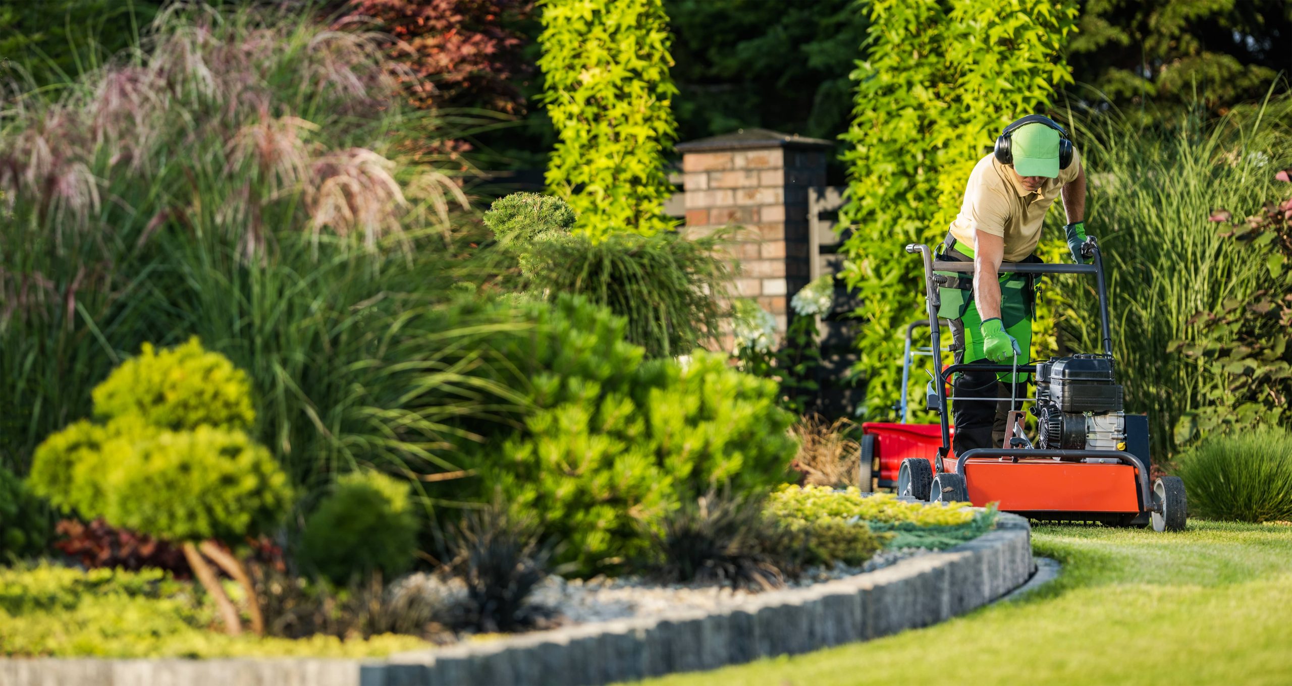 Designing a Butterfly and Pollinator Garden for Your Backyard