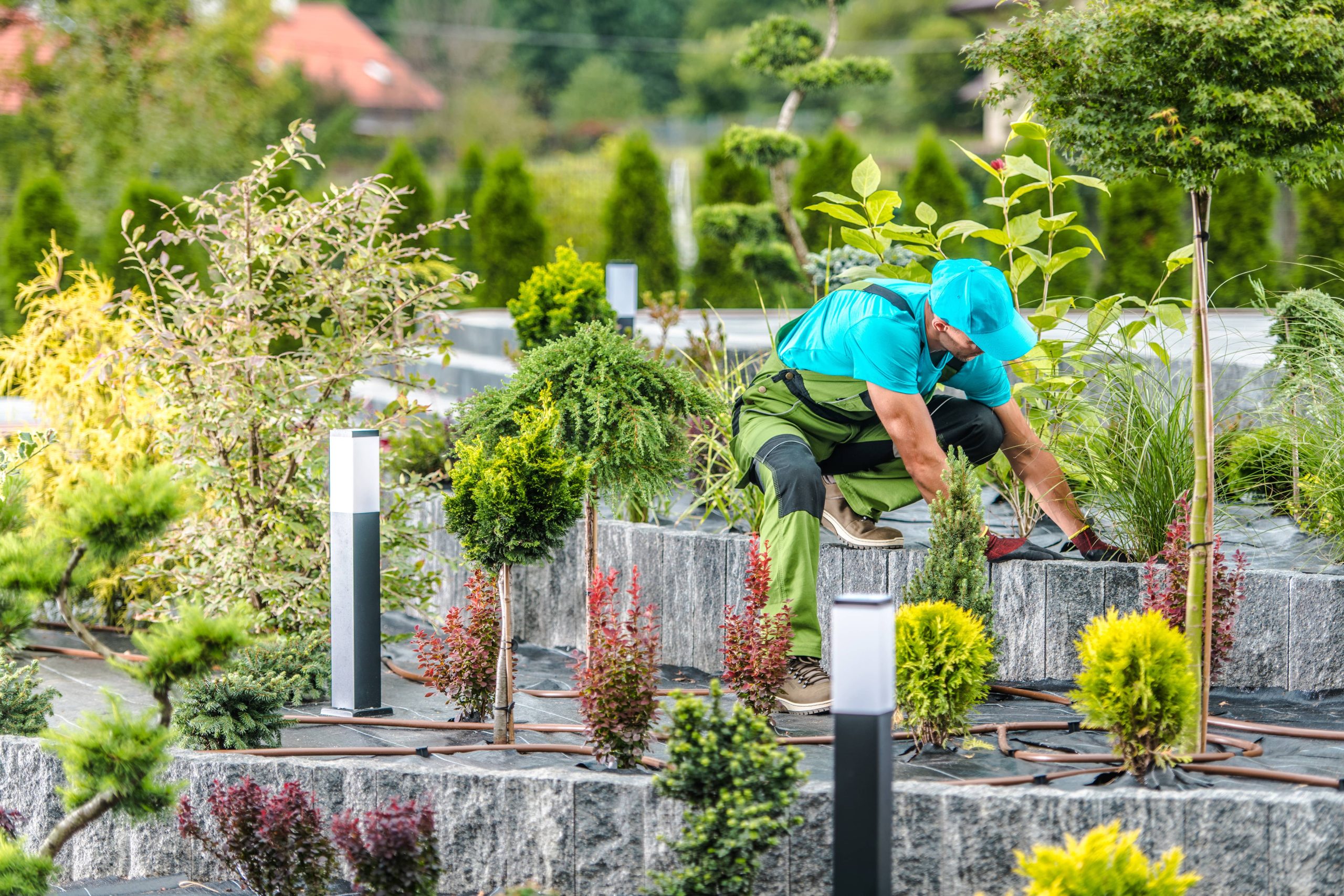 Designing a Child-Friendly Backyard