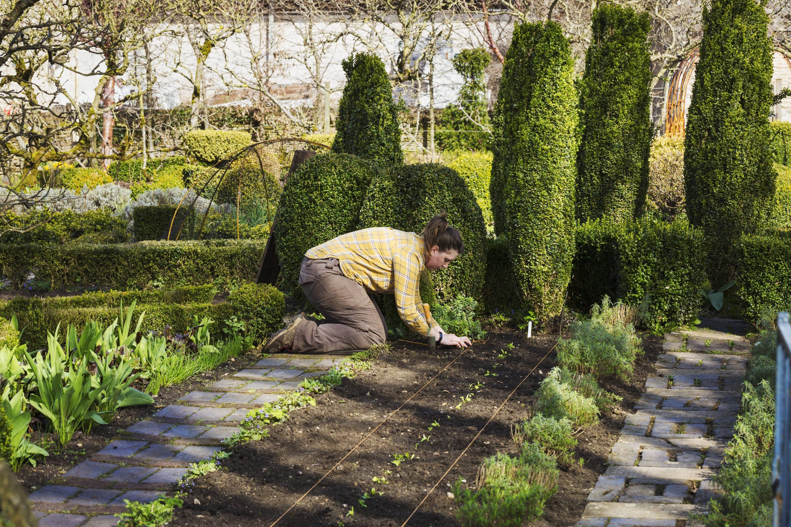 Enhancing Your Garden with Vertical Structures: Trellises and Arbors
