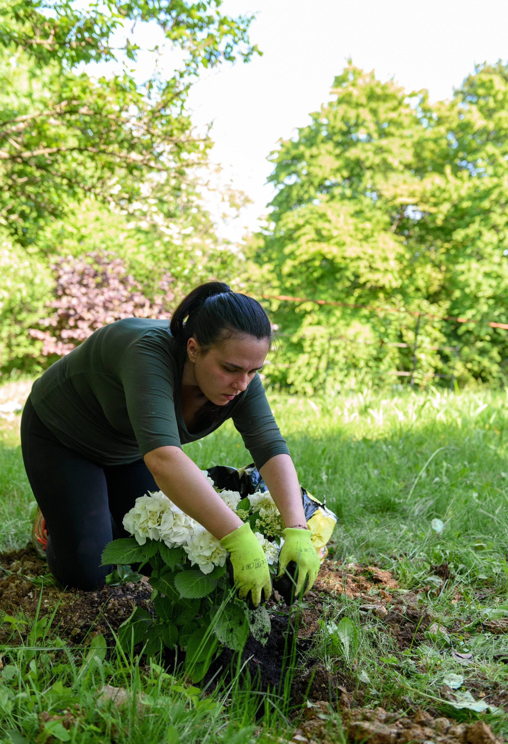 Establishing a Pest-Free Composting System
