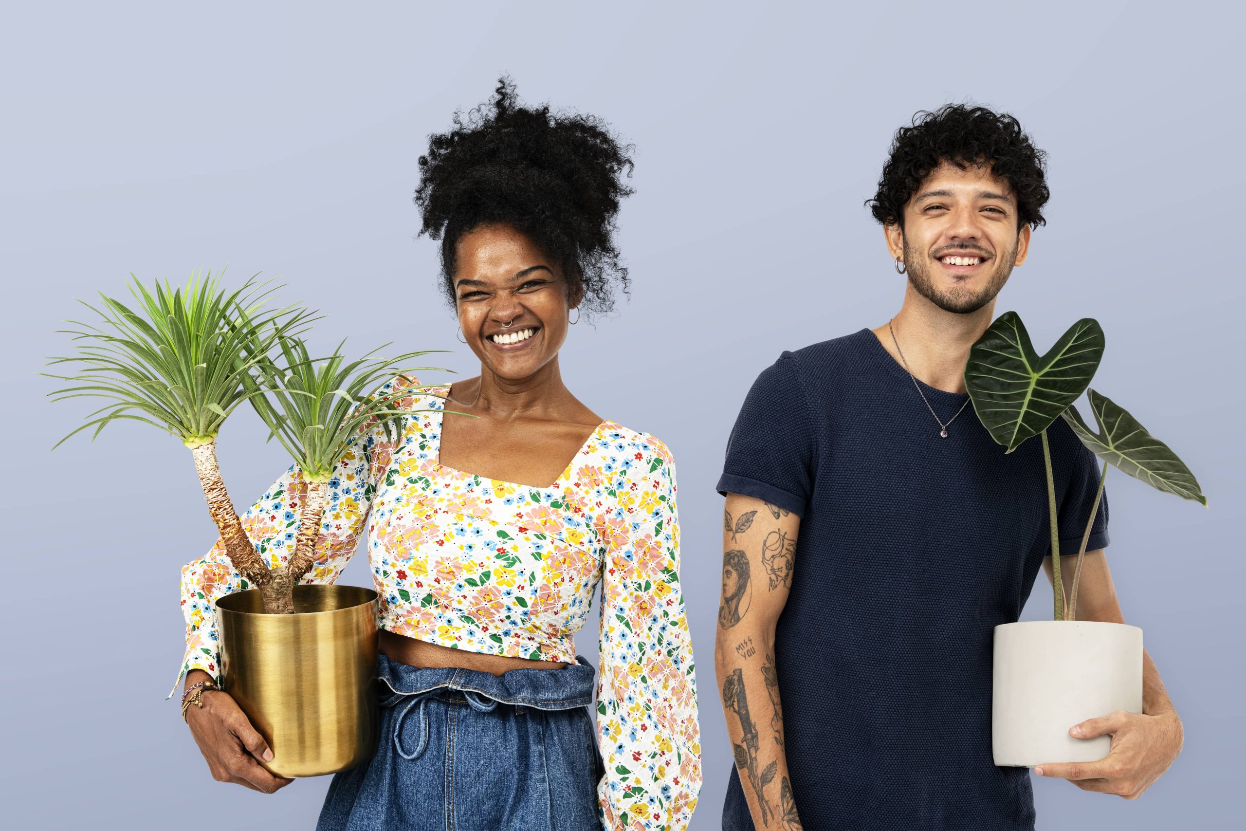 Every Indoor Gardener Needs Essential Plant Care Tools