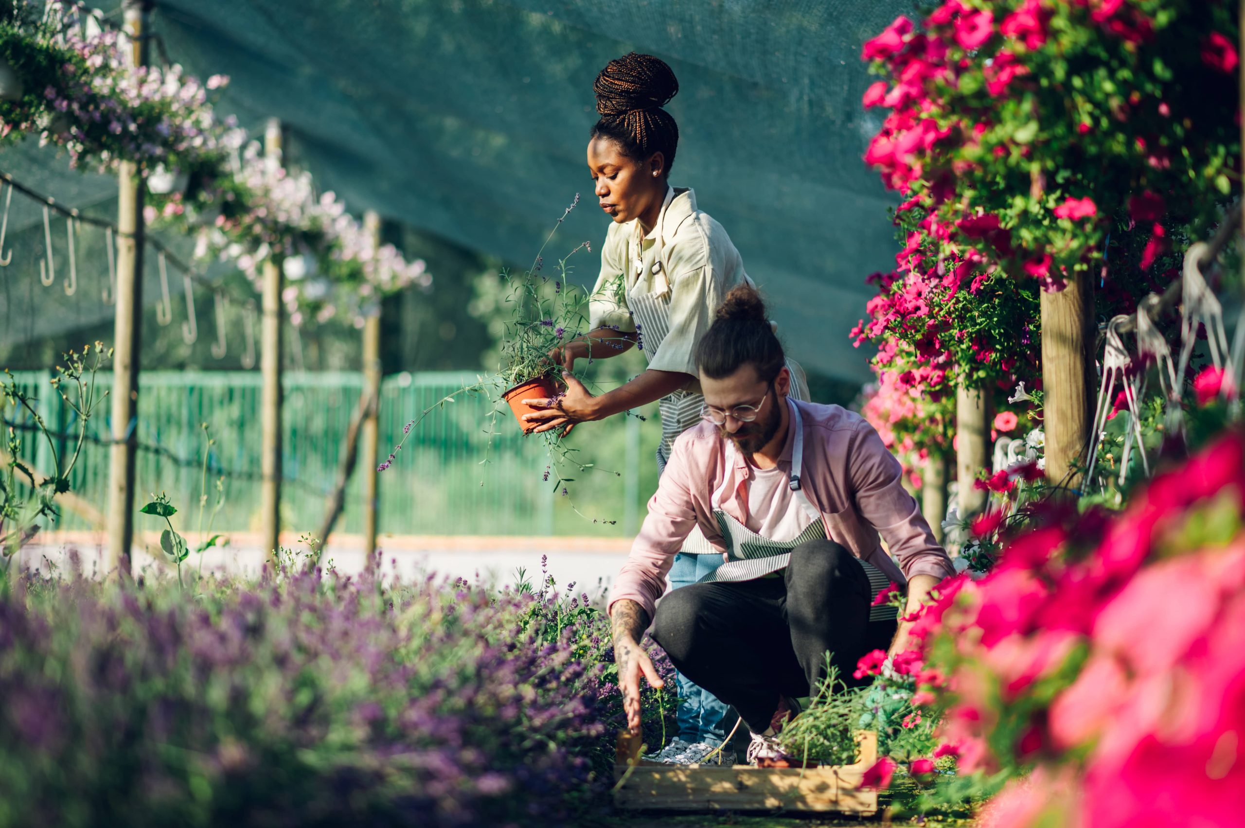 Explore Simple DIY Raised Garden Bed Options Suitable for Every Yard