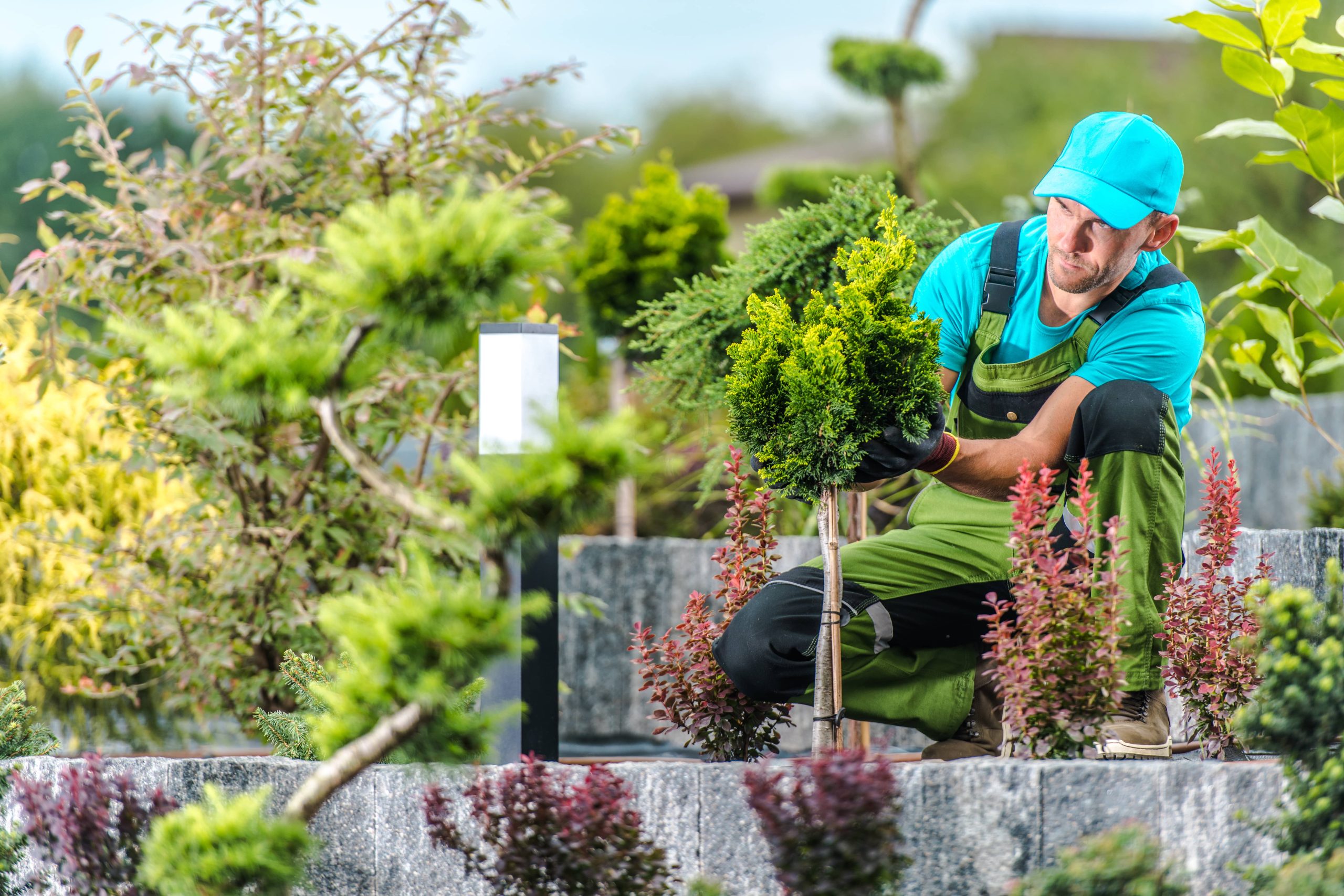 Exploring Optimal Companion Planting Methods for a Thriving Garden