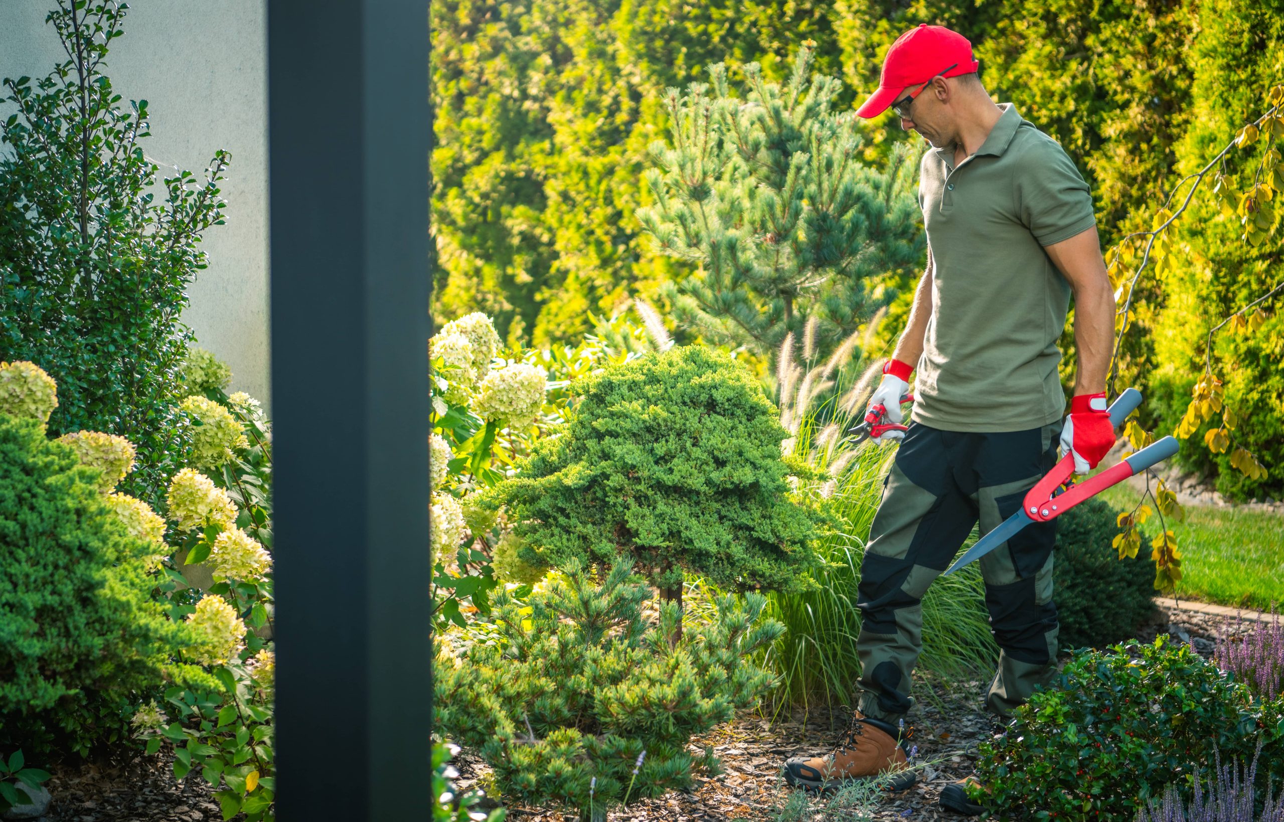 Flowering Shrubs Provide Year-Round Color: Transform Your Garden into a Perpetual Paradise
