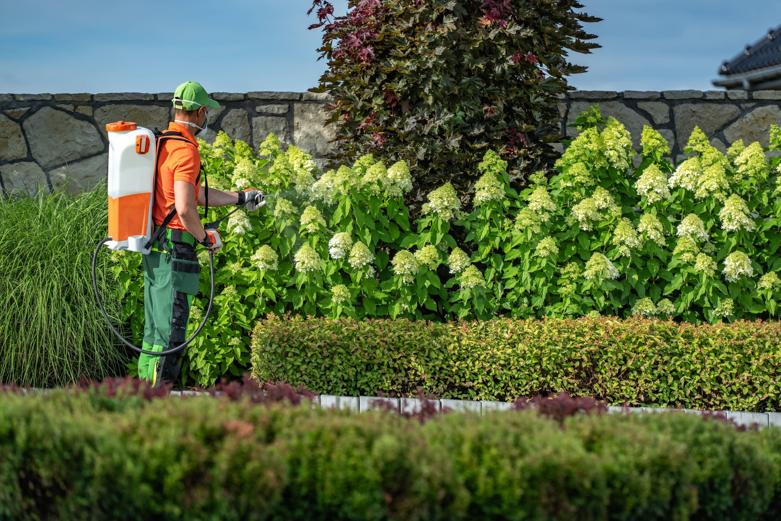 Growing Heirloom Vegetables Offers a Taste of the Past