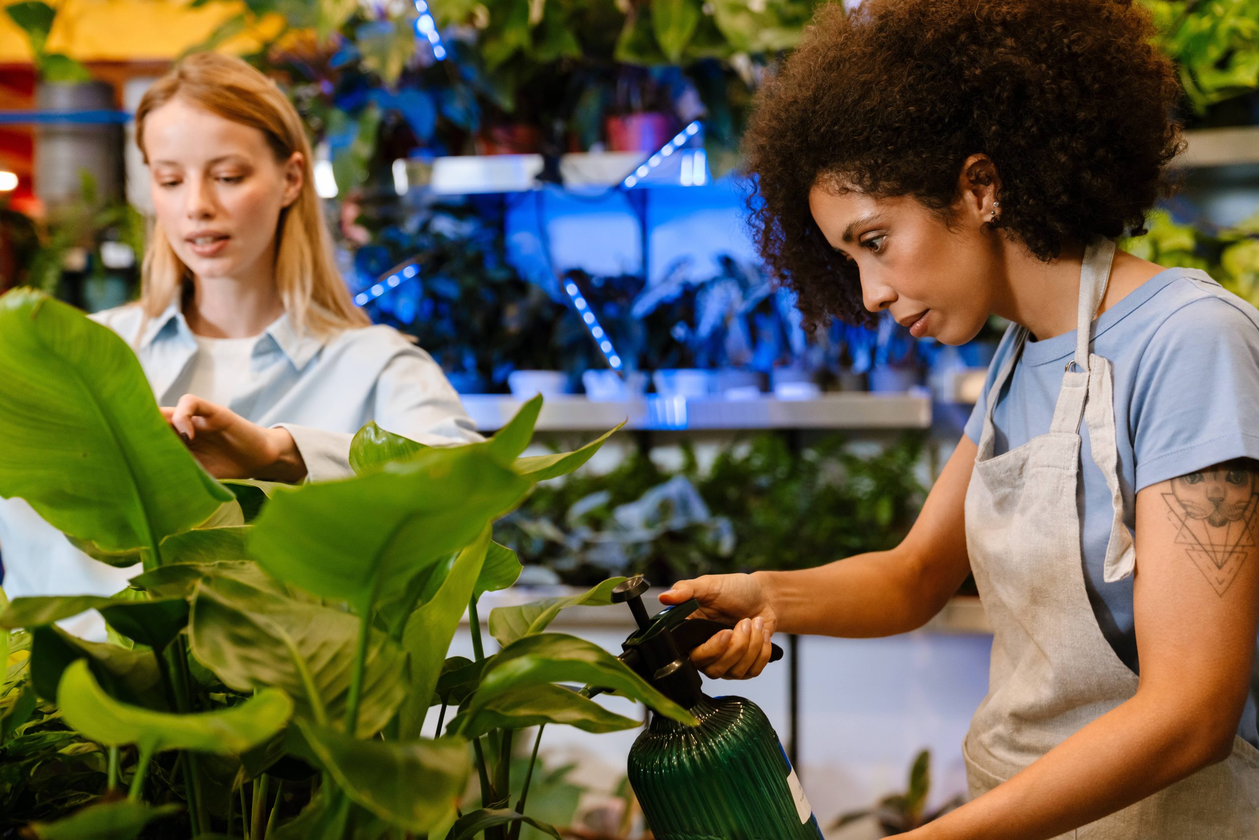 Growing Indoor Herbs Offers Numerous Health Benefits