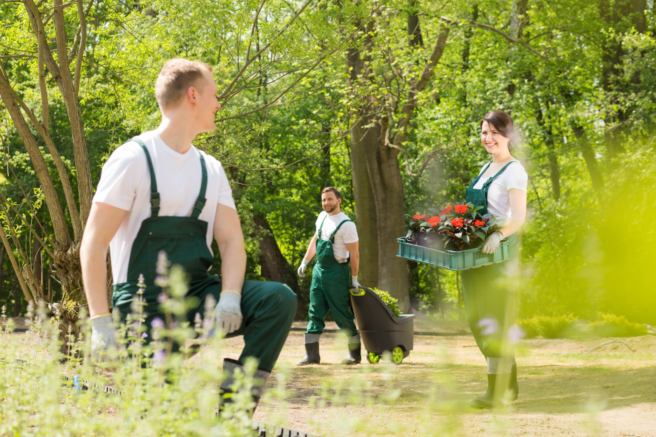 Growing an Abundant Vegetable Garden in Small Yards