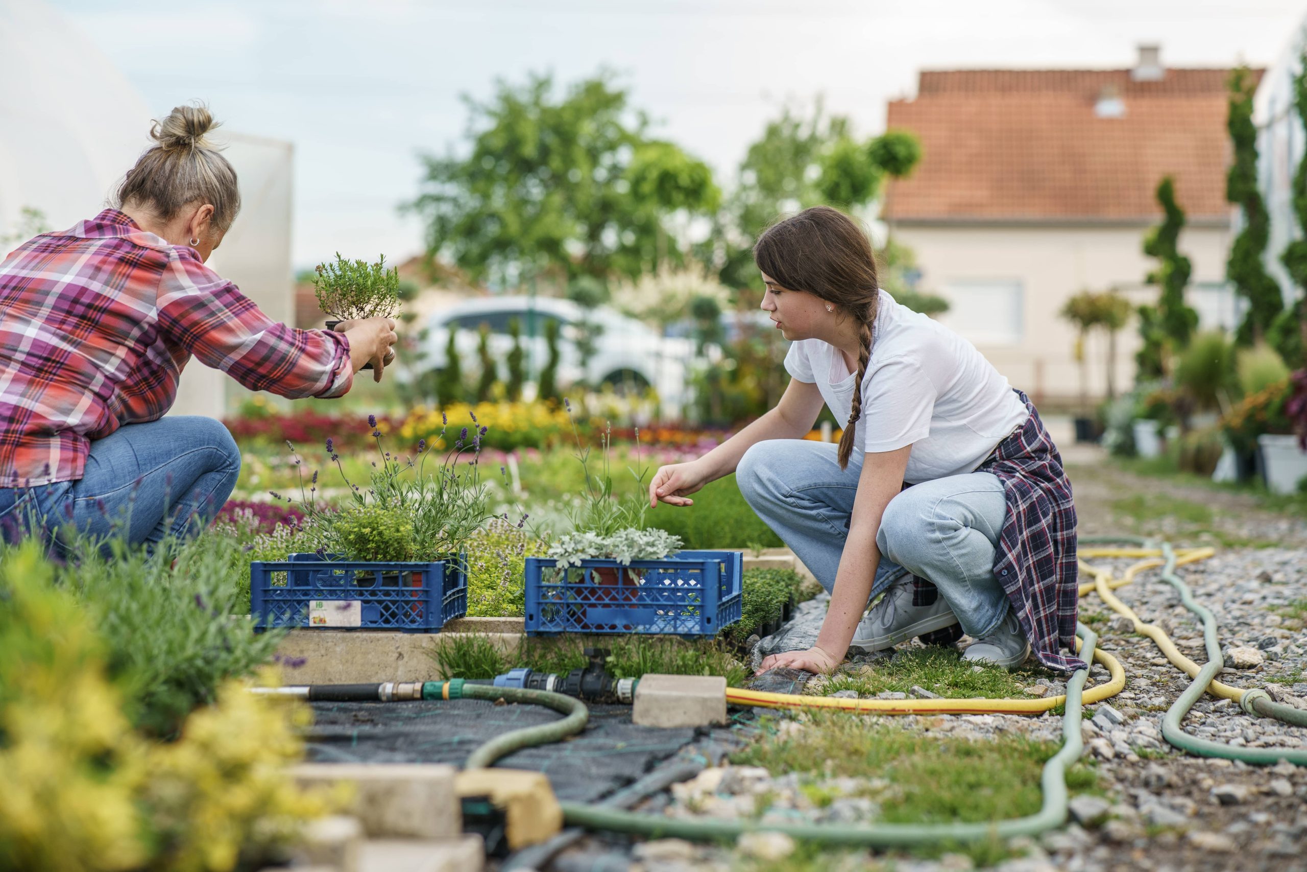 How to Grow Vegetables in Containers on Your Patio