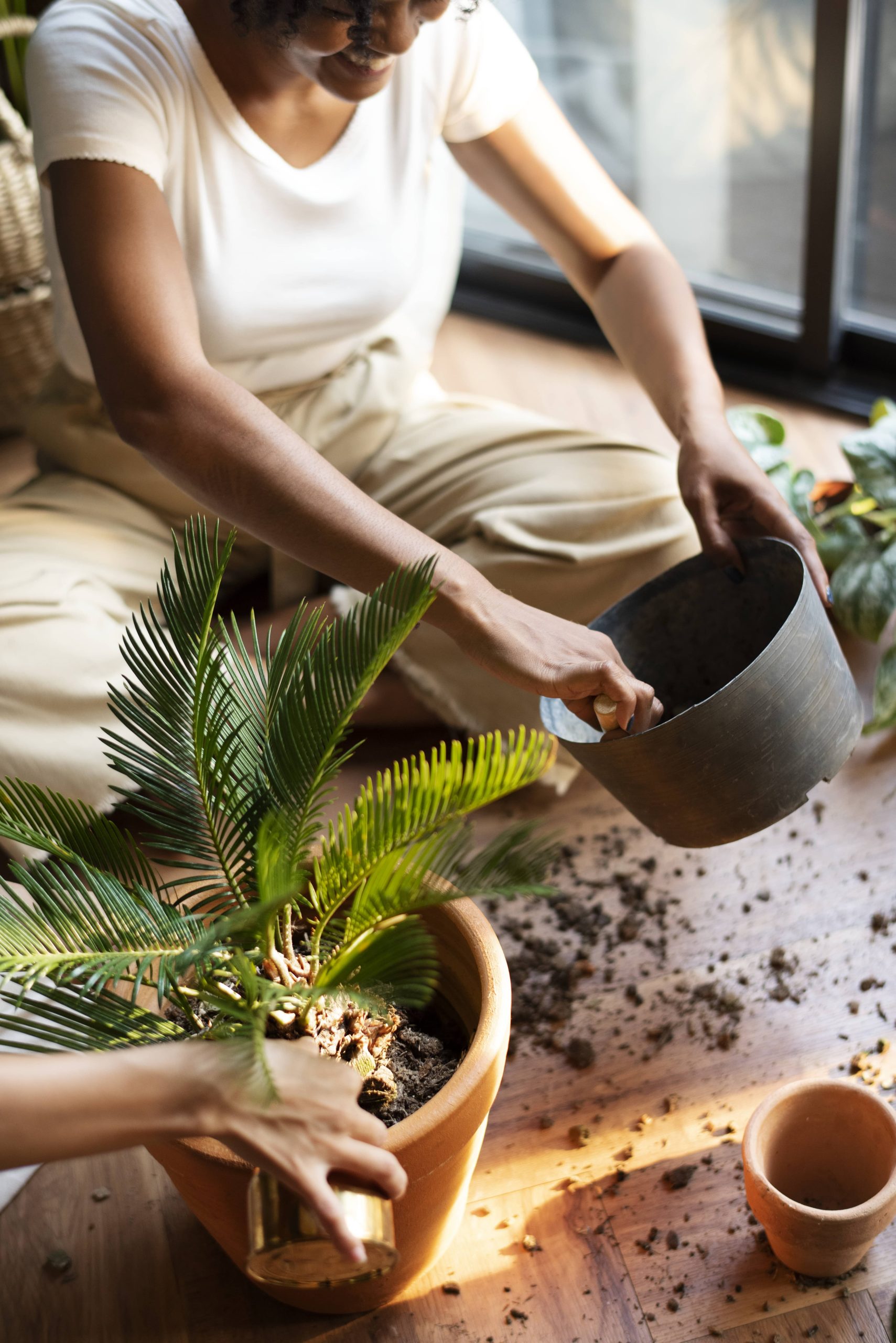 How to Revive a Plant Suffering from Overwatering or Underwatering
