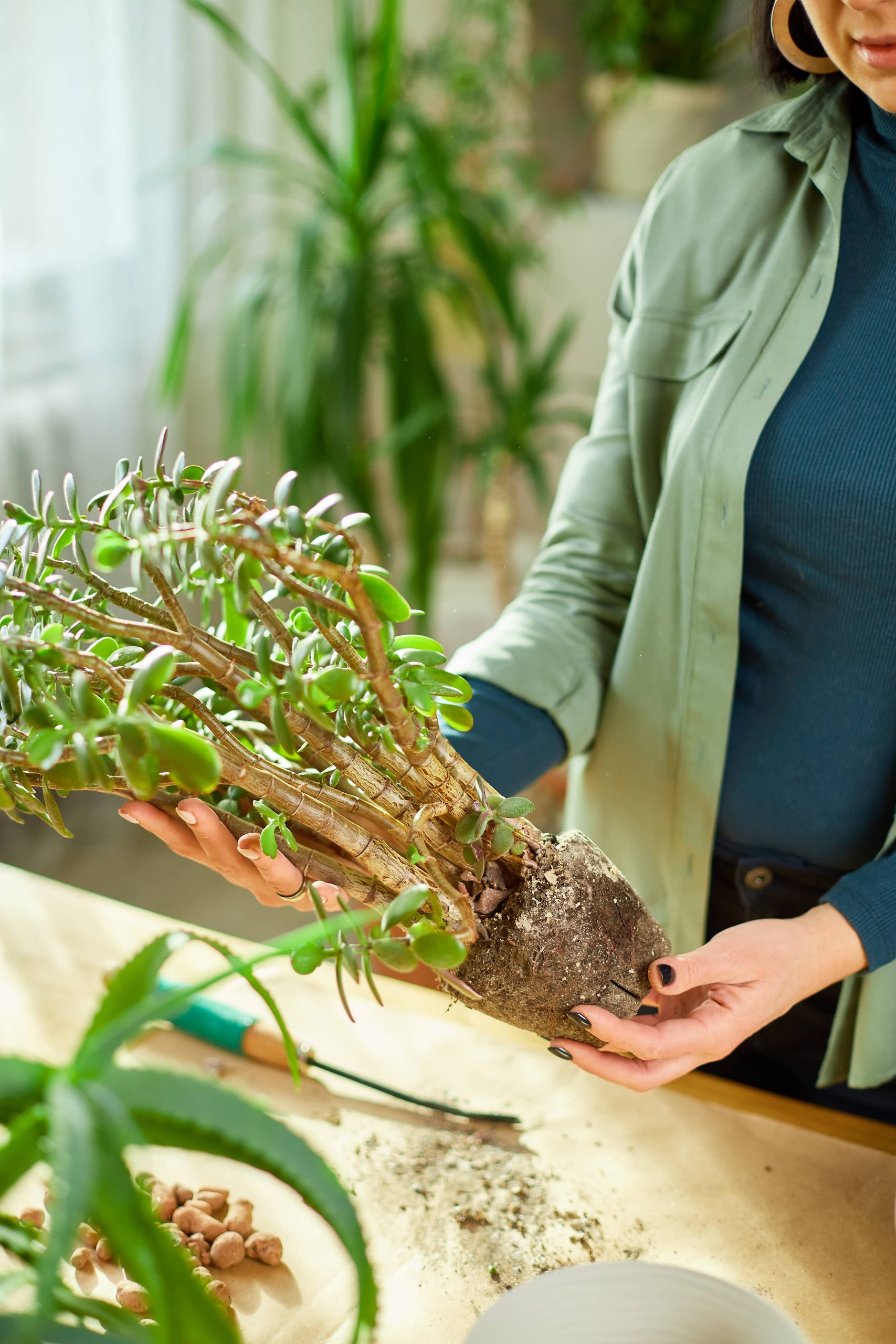 Innovative Hydroponic Herb Gardening Concepts for Compact Areas