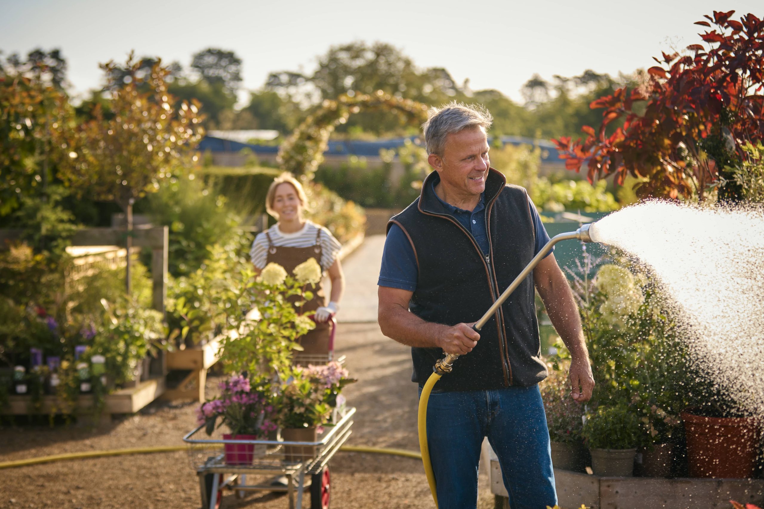 Introducing Climbers and Vines to Optimize Space Usage in Your Garden