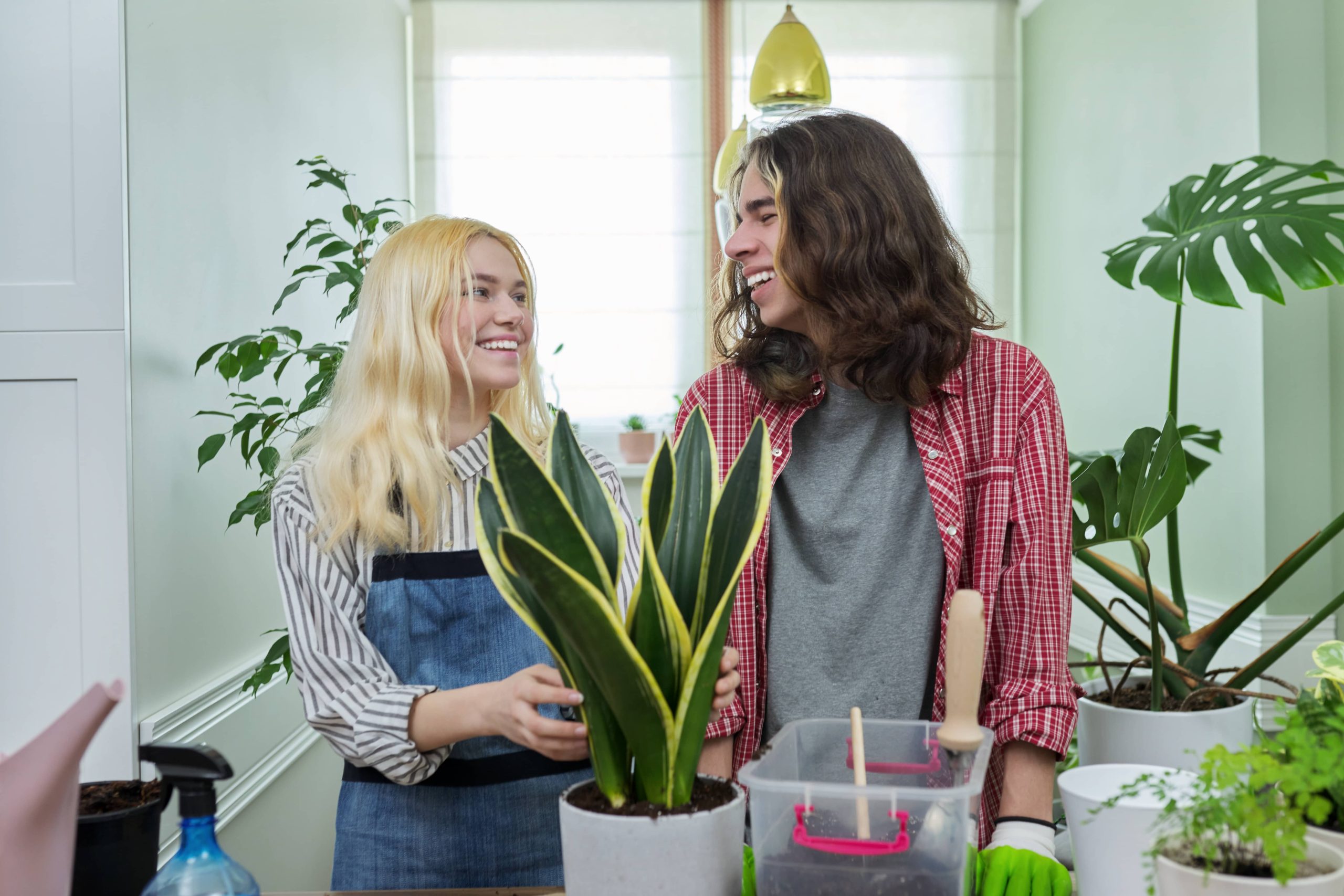 Mastering Effective Drainage Techniques Ensures Optimal Health for Houseplants