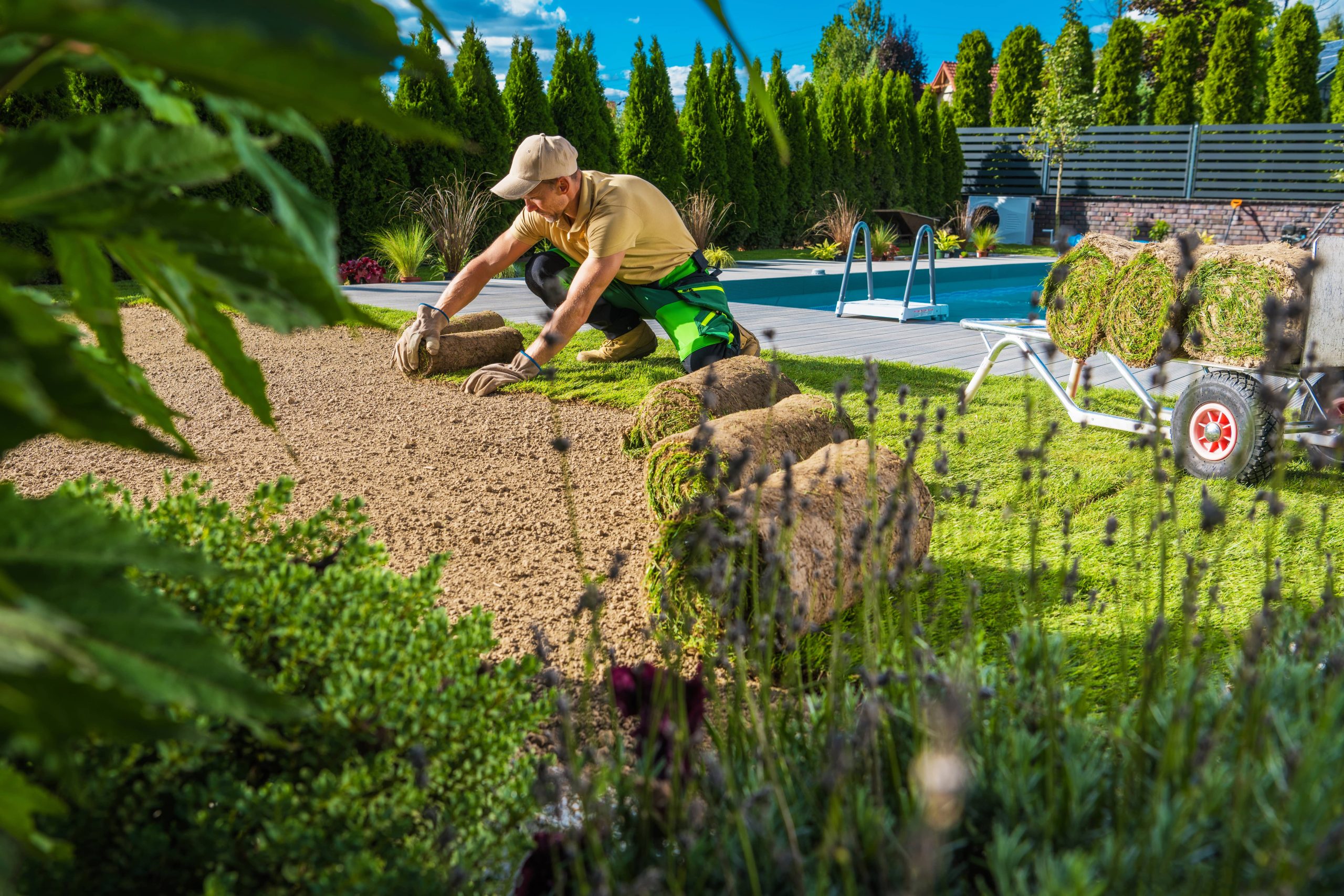 Quick Tips to Enhance Soil Drainage in Your Garden