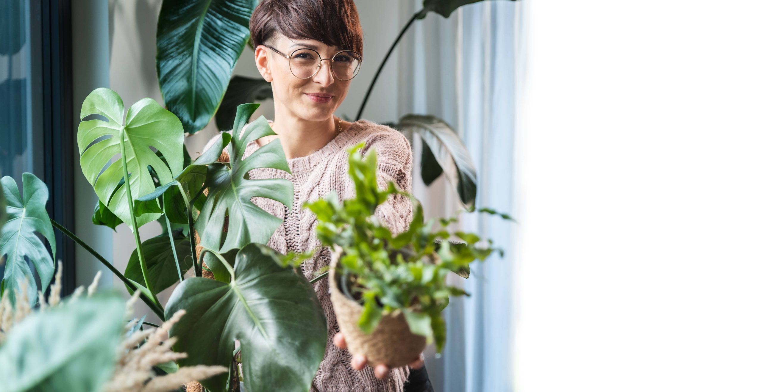 Repurposing Old Containers for Vintage Plant Displays