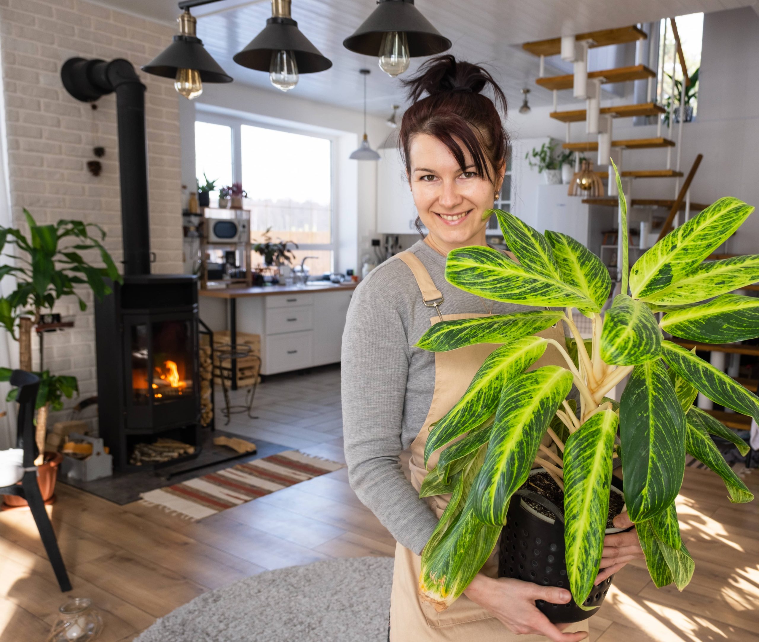 Selecting the Appropriate Fertilizer for Your Houseplants