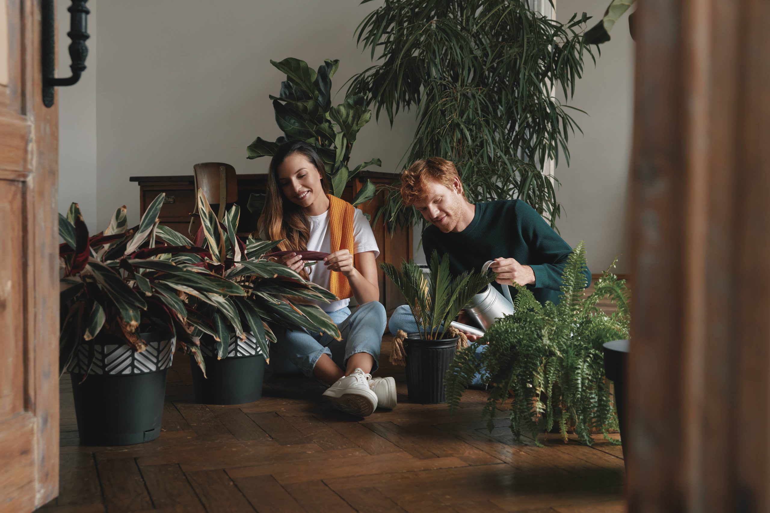 The Best Indoor Plants That Are Safe for Pets