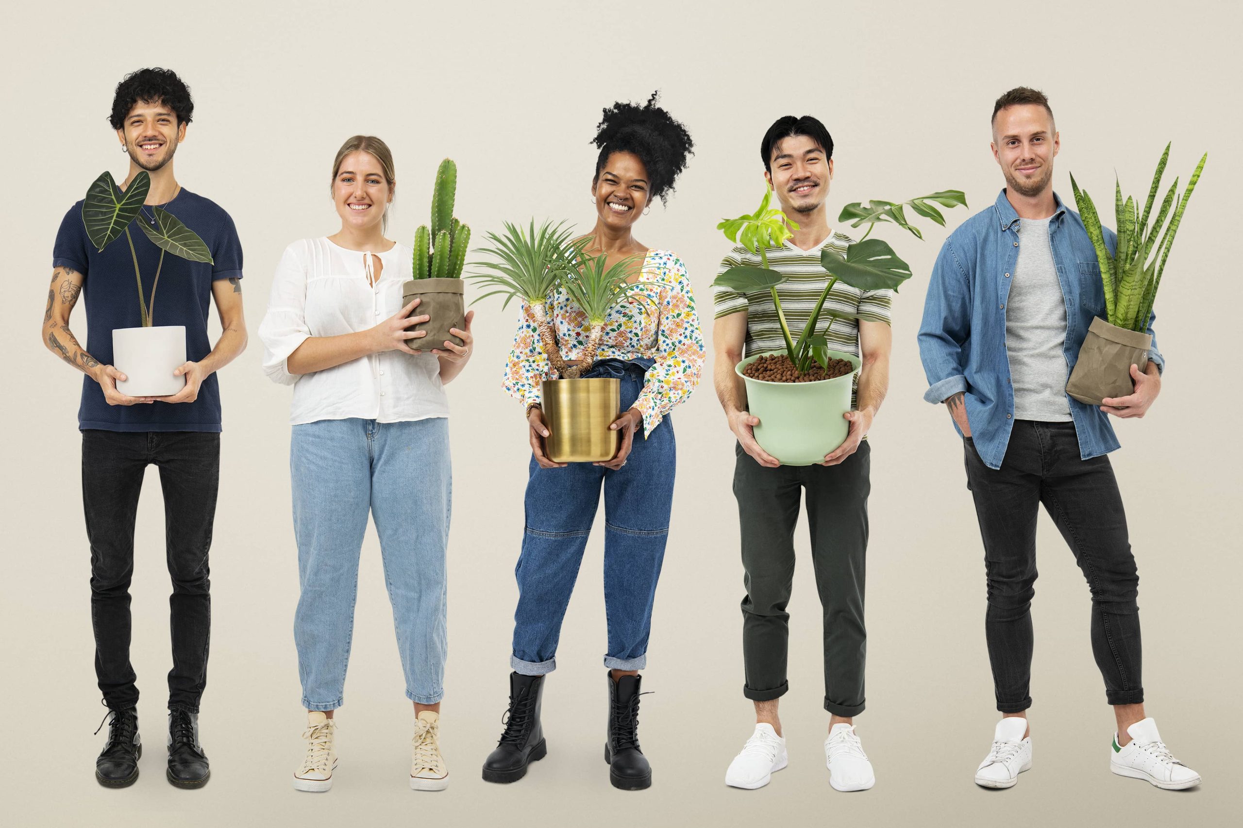The Top Houseplants for Naturally Purifying the Air