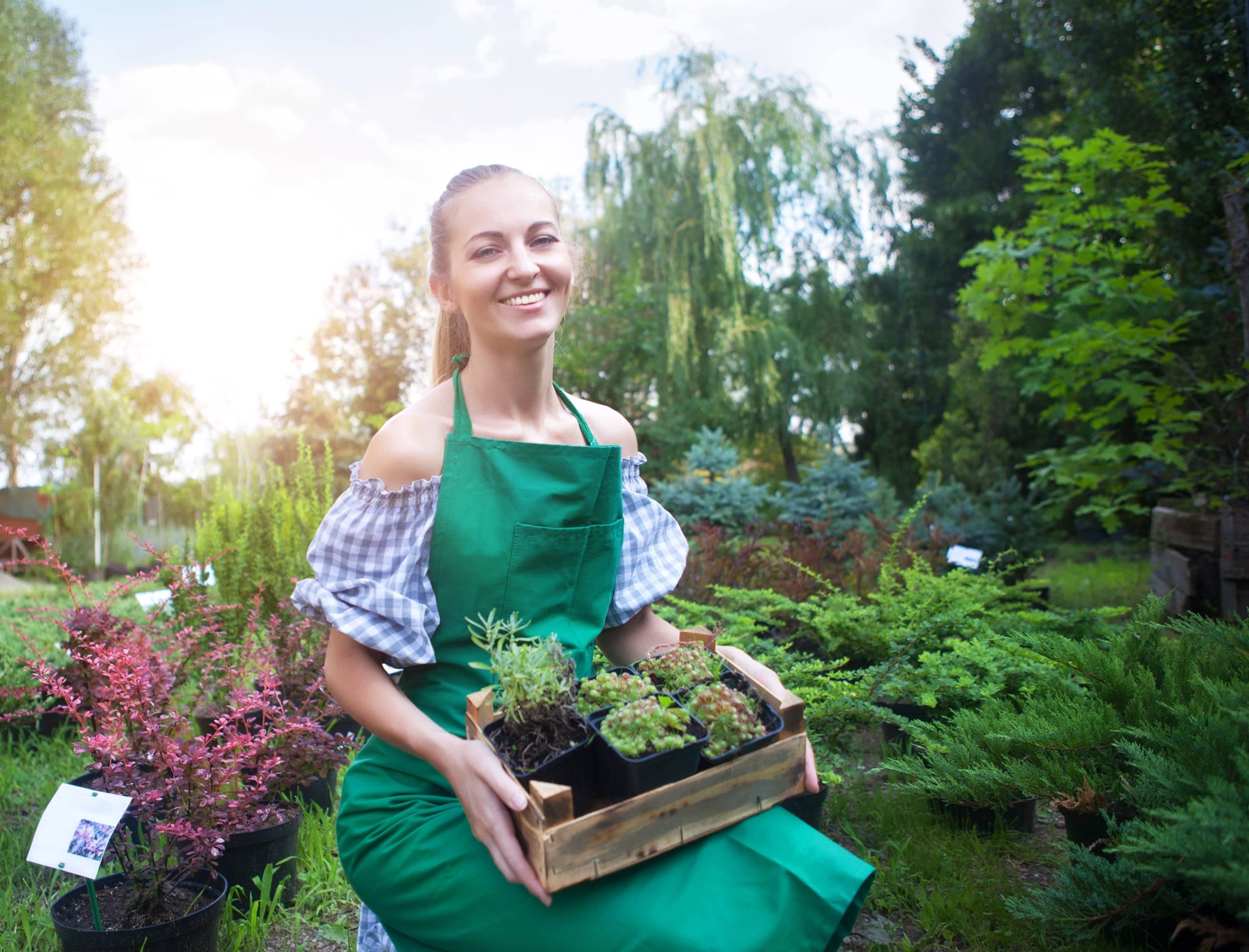 Transform Your Garden into a Haven for Wildlife to Draw in Birds and Bees