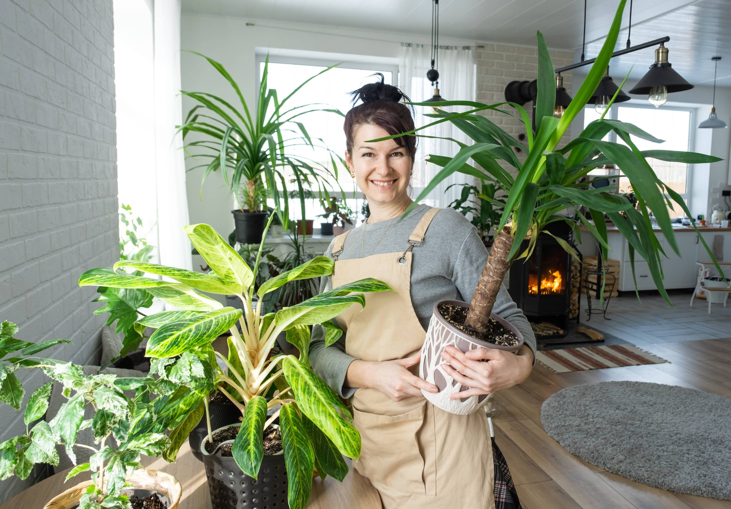 Understanding Tropical Houseplant Humidity Requirements