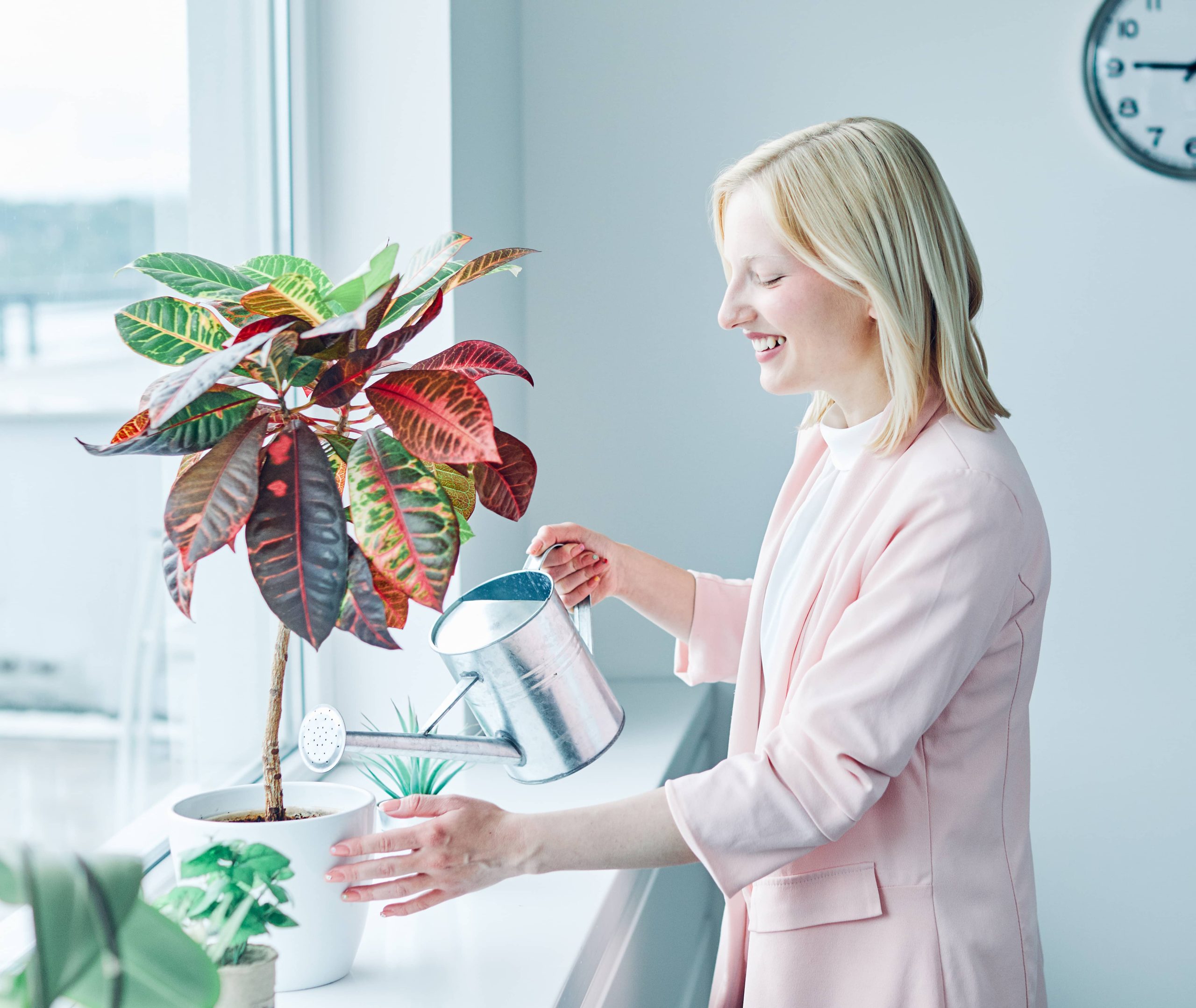 Understanding the Science of Indoor Plant Watering Schedules