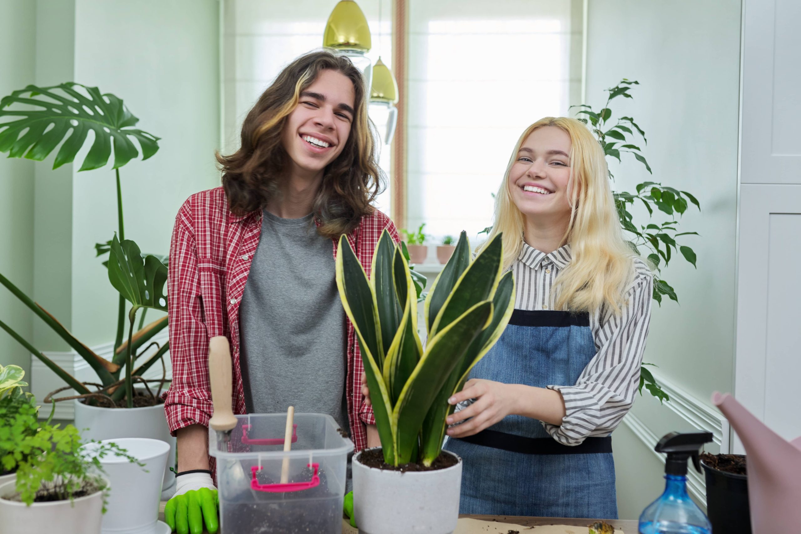 Unique Methods for Showcasing Succulents and Air Plants
