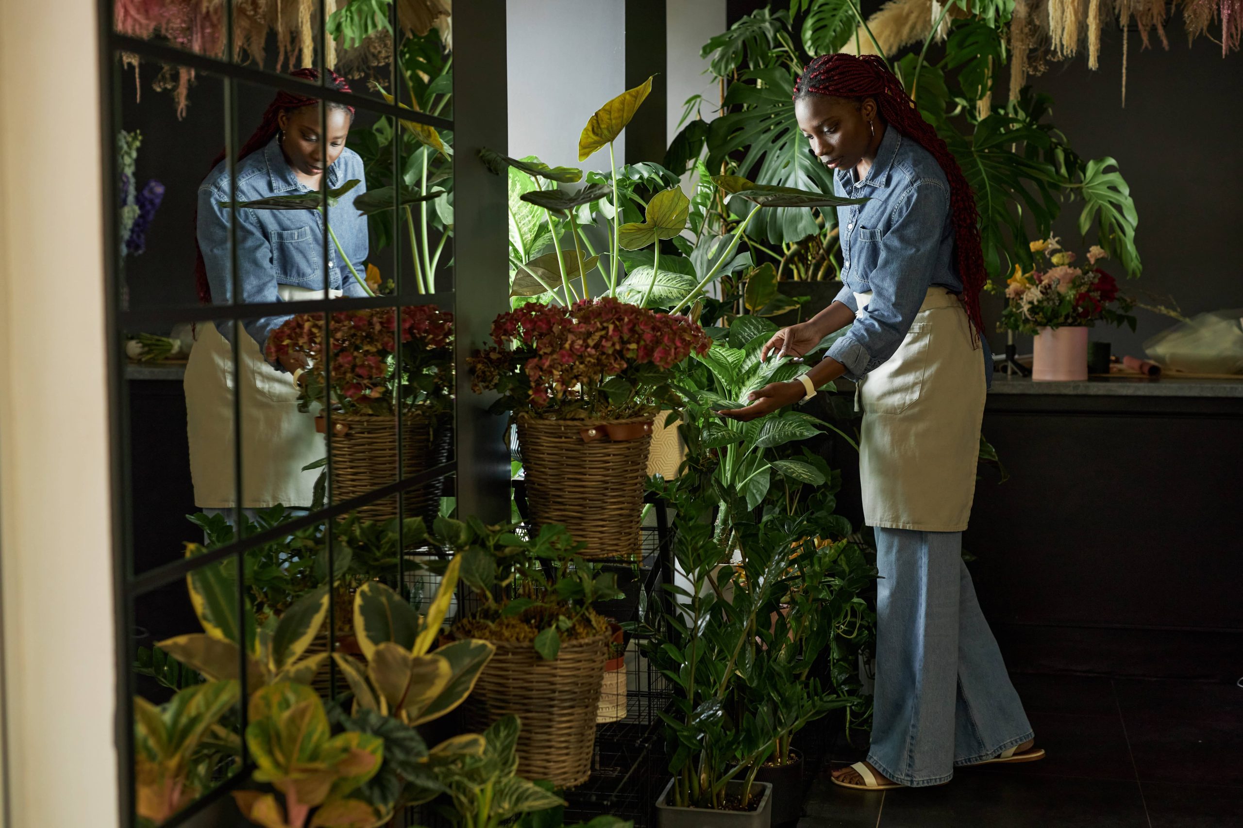 Utilizing Coffee Grounds and Kitchen Scraps as Plant Nutrients