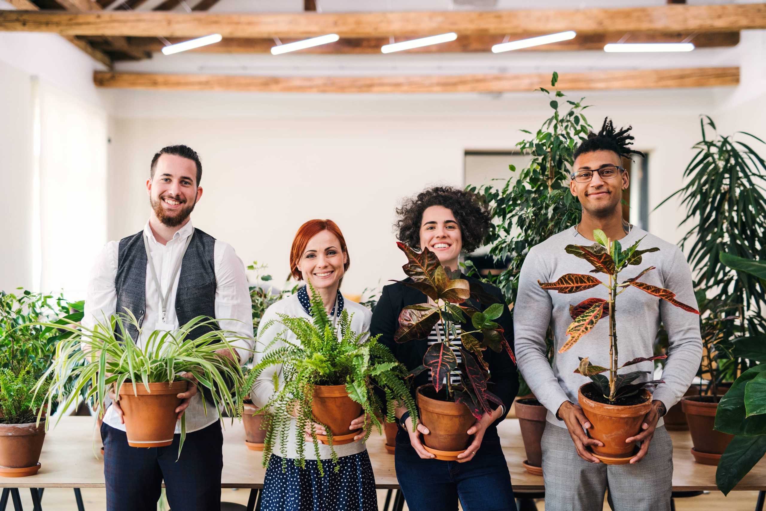 Ways to Revive a Wilting Houseplant
